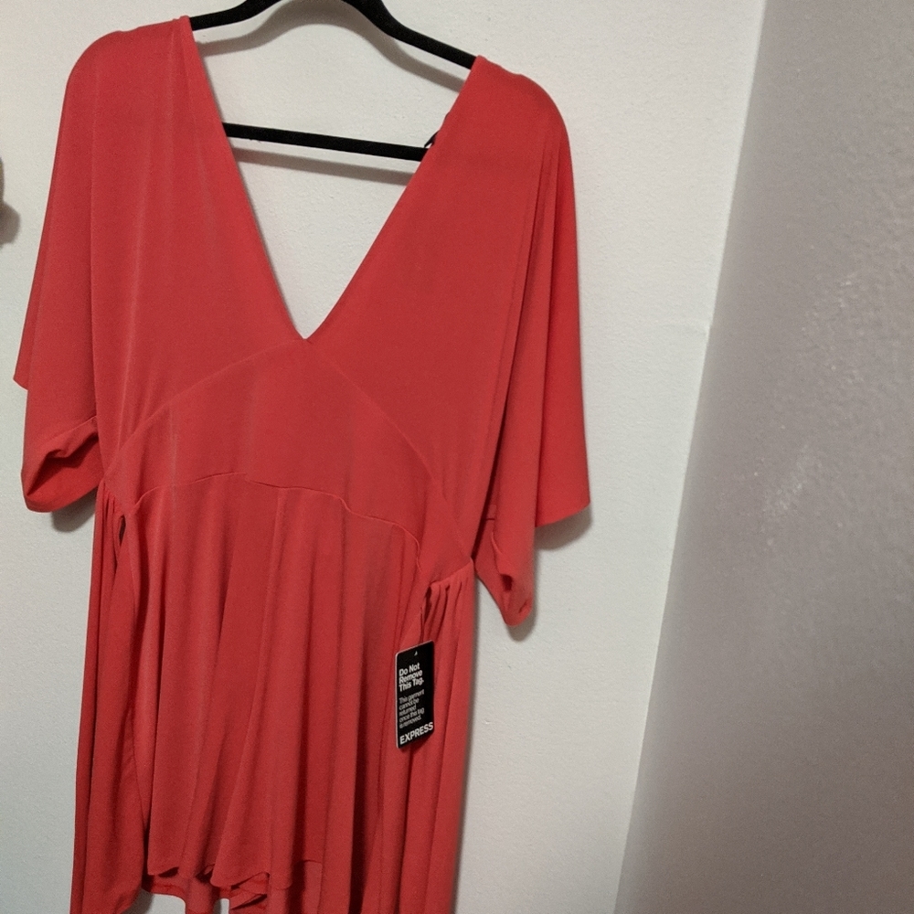 Express Onesie